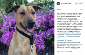 The day that Dr. Wayne Dyer left a comment on a Faith Love Journey Instagram post. I was in such awe, but it was fitting because he never wasted an opportunity to connect with someone.